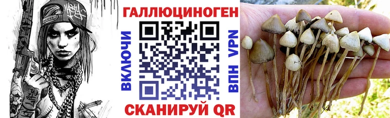 Галлюциногенные грибы GOLDEN TEACHER  где можно купить   Нововоронеж 